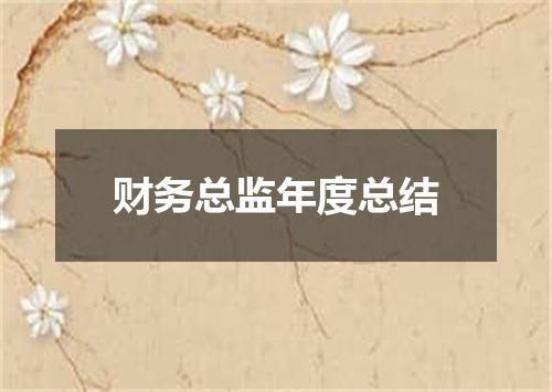 财务总监年度总结
