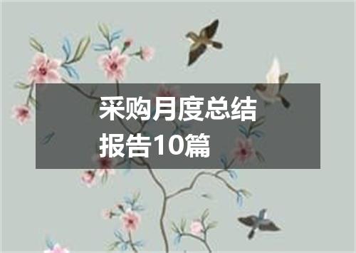 采购月度总结报告10篇