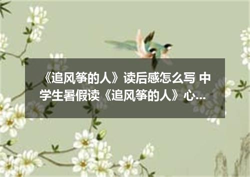 《追风筝的人》读后感怎么写 中学生暑假读《追风筝的人》心得感想五篇