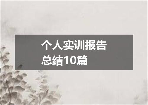 个人实训报告总结10篇