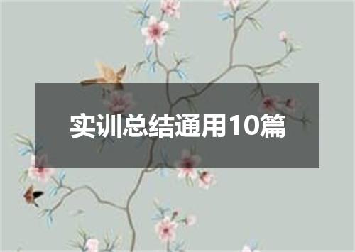 实训总结通用10篇