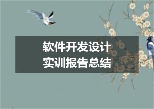 软件开发设计实训报告总结