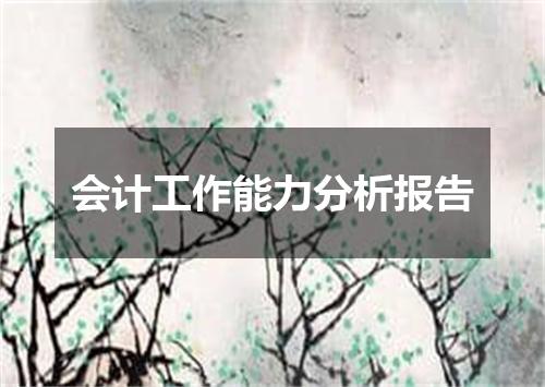 会计工作能力分析报告