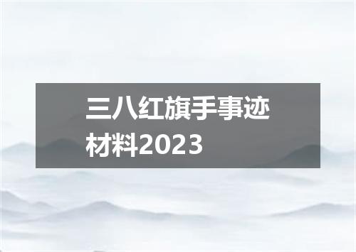 三八红旗手事迹材料2023