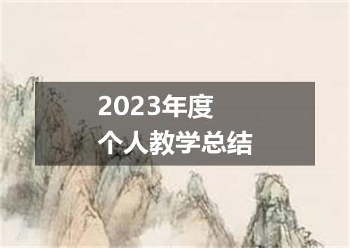 2023年度个人教学总结