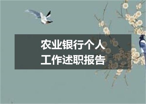 农业银行个人工作述职报告