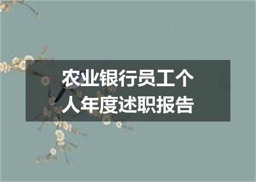 农业银行员工个人年度述职报告