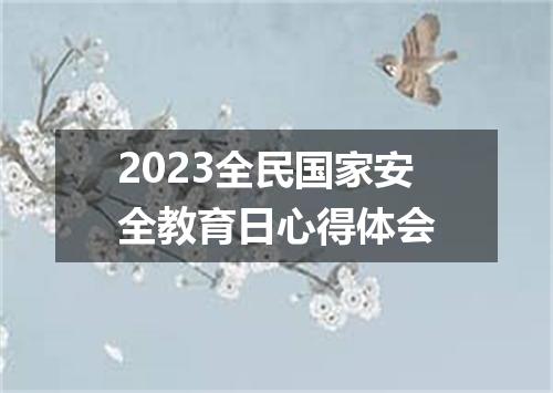 2023全民国家安全教育日心得体会