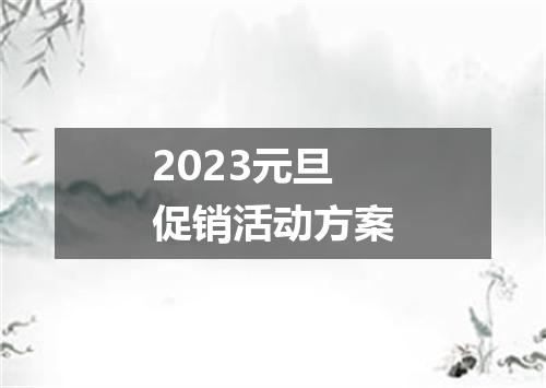 2023元旦促销活动方案