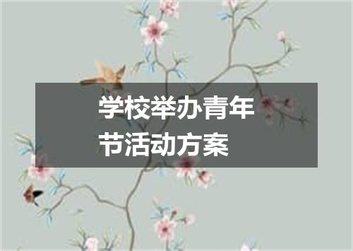 学校举办青年节活动方案