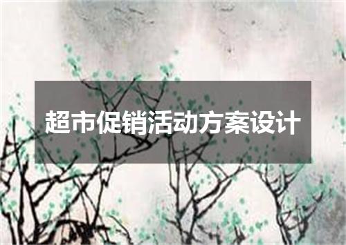 超市促销活动方案设计