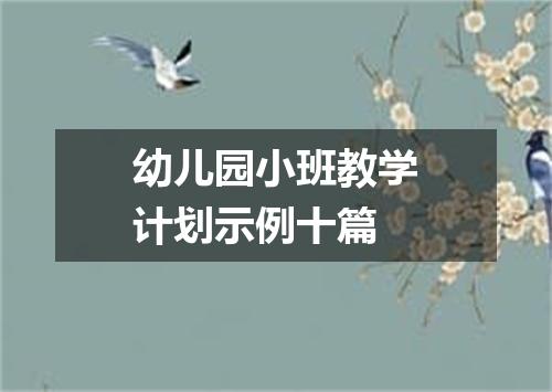 幼儿园小班教学计划示例十篇