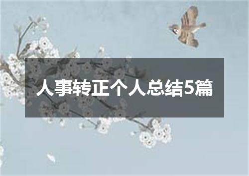 人事转正个人总结5篇
