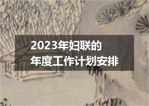 2023年妇联的年度工作计划安排