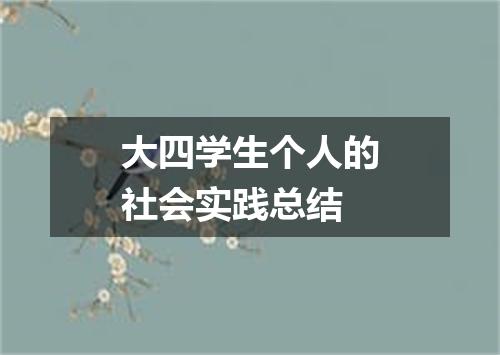 大四学生个人的社会实践总结