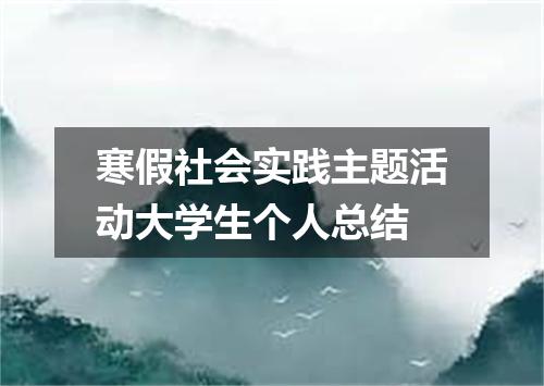 寒假社会实践主题活动大学生个人总结