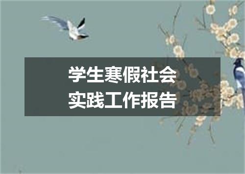 学生寒假社会实践工作报告