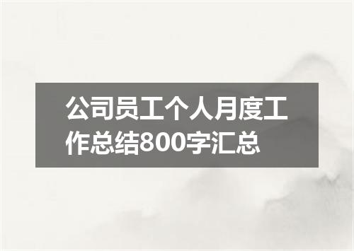 公司员工个人月度工作总结800字汇总