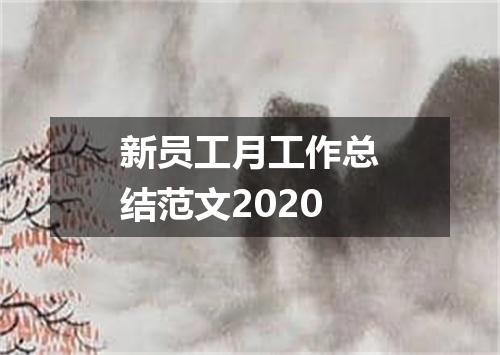 新员工月工作总结范文2020