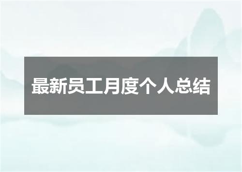 最新员工月度个人总结