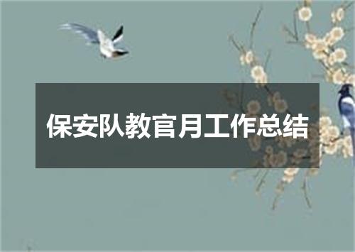 保安队教官月工作总结
