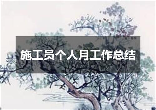 施工员个人月工作总结