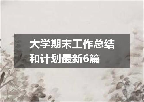 大学期末工作总结和计划最新6篇