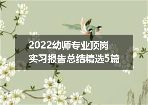 2022幼师专业顶岗实习报告总结精选5篇