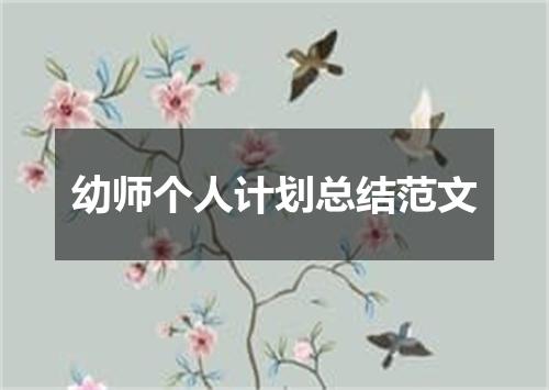 幼师个人计划总结范文