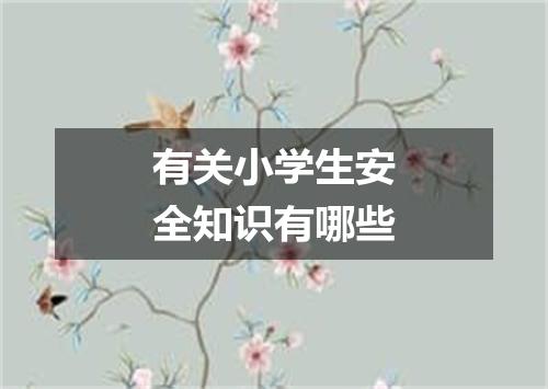 有关小学生安全知识有哪些