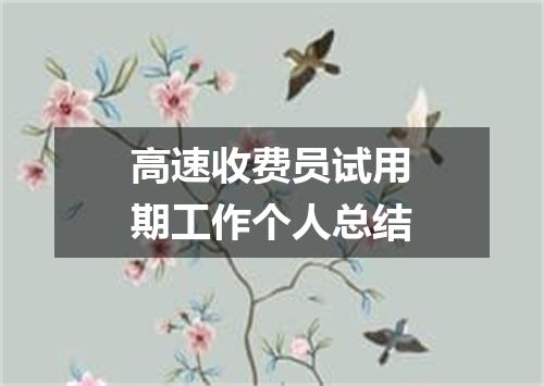 高速收费员试用期工作个人总结