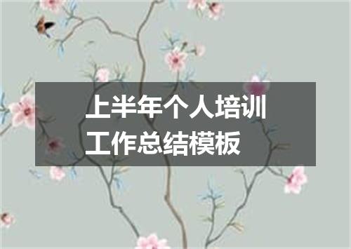 上半年个人培训工作总结模板