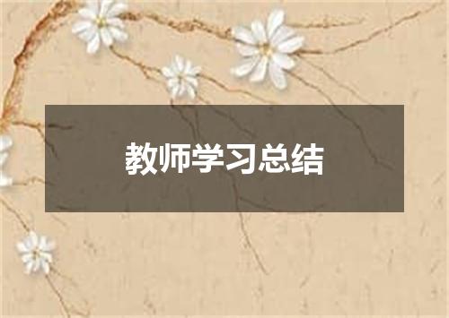 教师学习总结