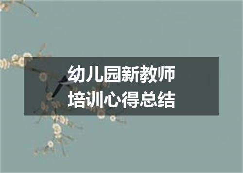 幼儿园新教师培训心得总结