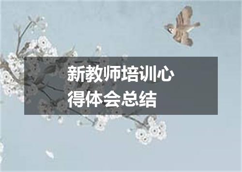 新教师培训心得体会总结