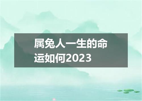 属兔人一生的命运如何2023