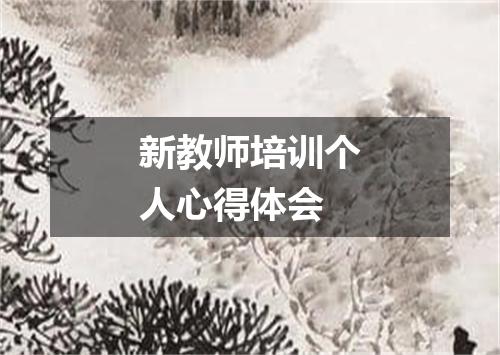 新教师培训个人心得体会
