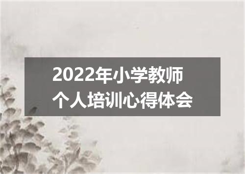 2022年小学教师个人培训心得体会