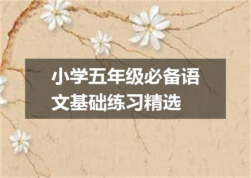 小学五年级必备语文基础练习精选