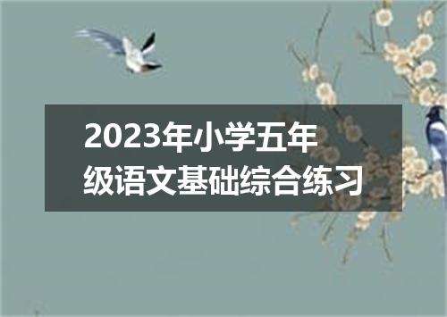 2023年小学五年级语文基础综合练习