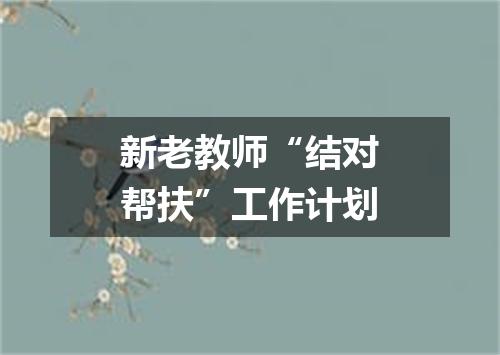 新老教师“结对帮扶”工作计划