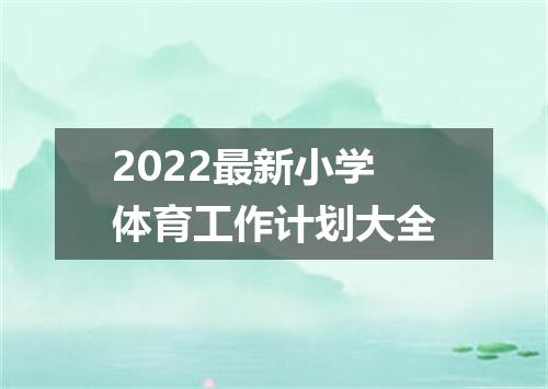 2022最新小学体育工作计划大全