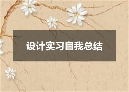设计实习自我总结