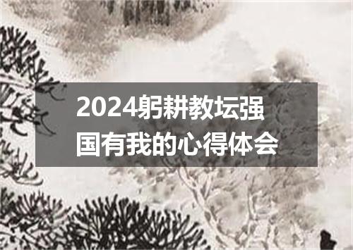 2024躬耕教坛强国有我的心得体会