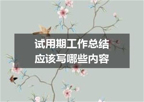 试用期工作总结应该写哪些内容