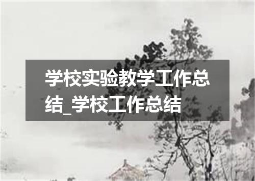 学校实验教学工作总结_学校工作总结