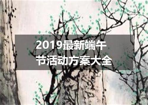 2019最新端午节活动方案大全