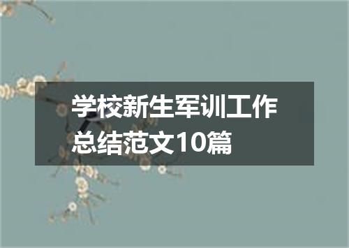 学校新生军训工作总结范文10篇