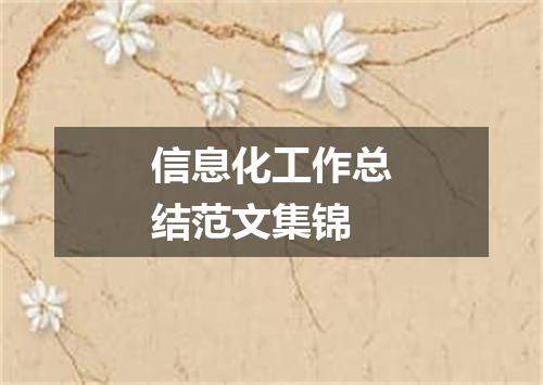 信息化工作总结范文集锦