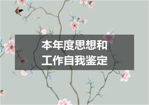 本年度思想和工作自我鉴定